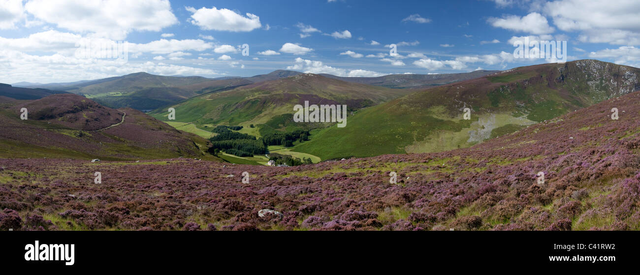 Estate vista su tutta la vallata Cloghoge e Wicklow Mountains, County Wicklow, Irlanda. Foto Stock