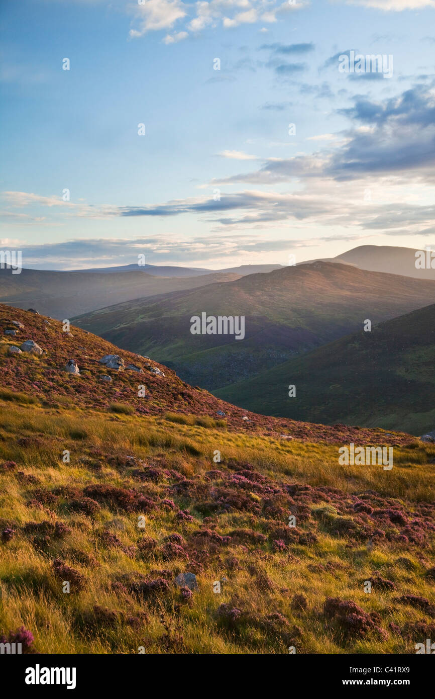 Serata in Wicklow Mountains, County Wicklow, Irlanda. Foto Stock