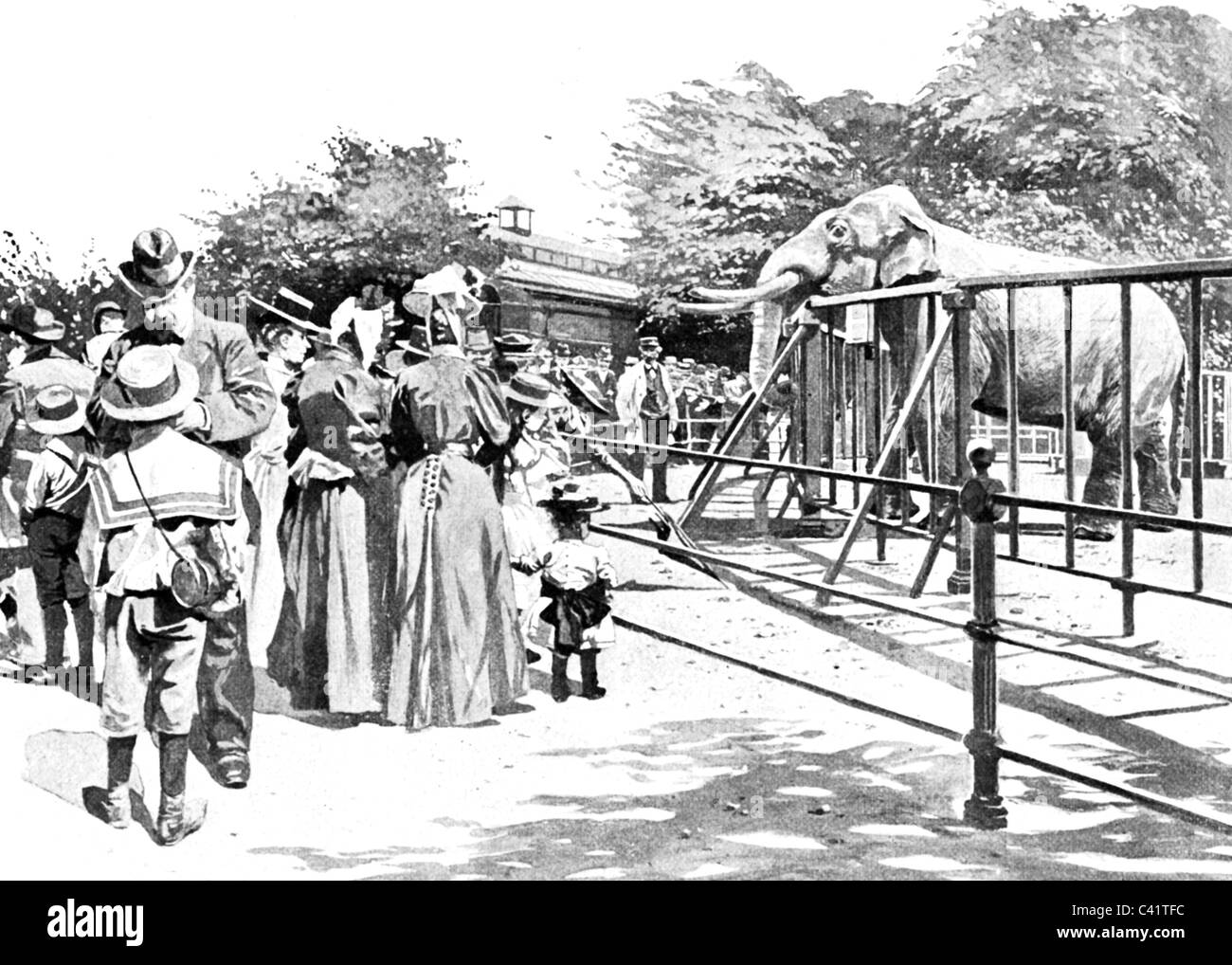 Geografia / viaggio, Germania, Amburgo, Giardino zoologico, vista, gli elefanti, stampa dopo disegno di H. Haase, 1899, diritti aggiuntivi-clearences-non disponibile Foto Stock