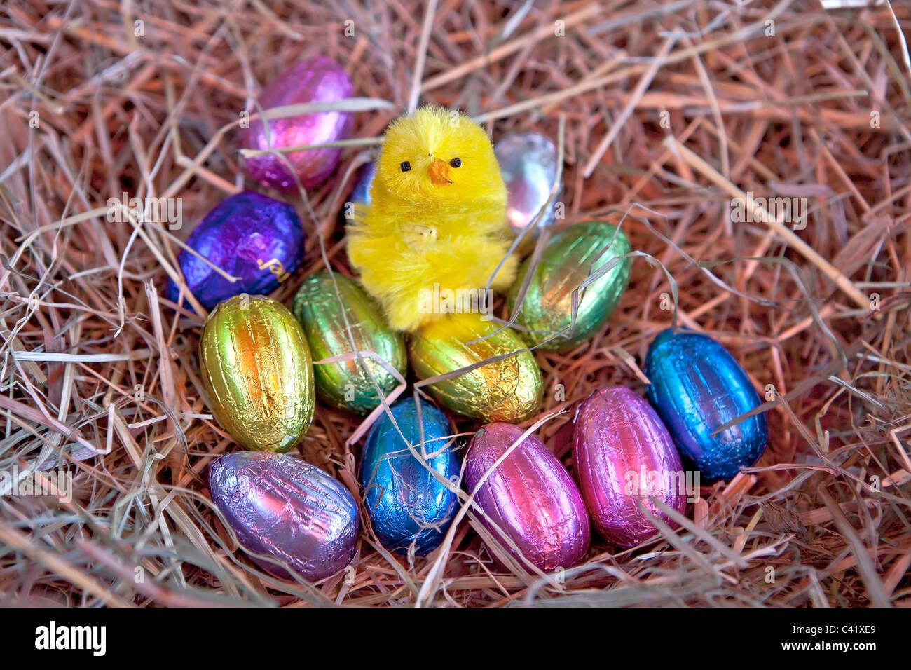 Uovo di Pasqua con un pulcino in un nido di paglia Foto Stock
