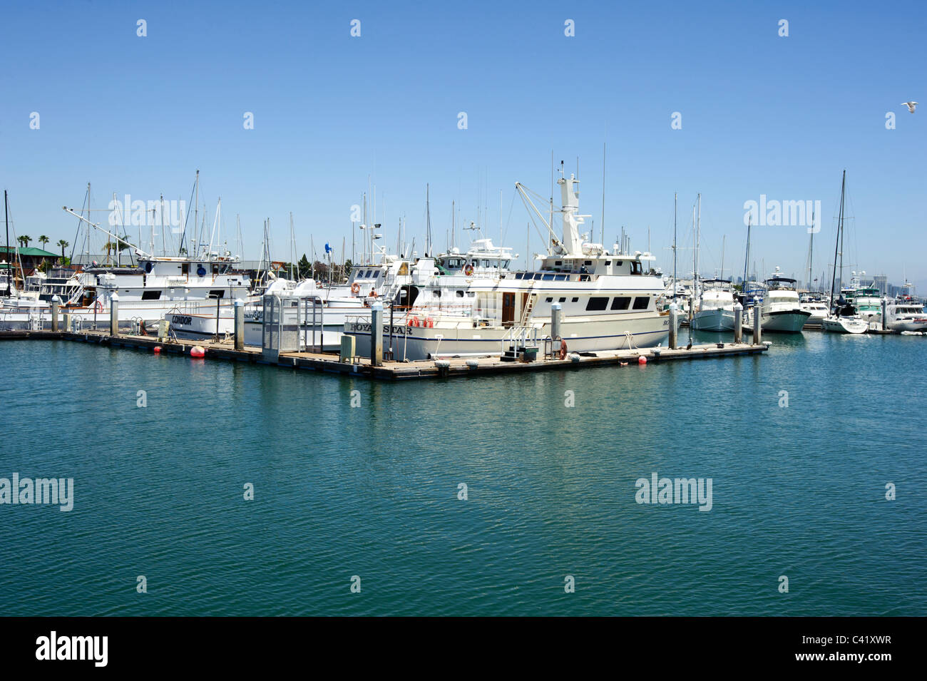 San Diego Pesca sportiva Foto Stock