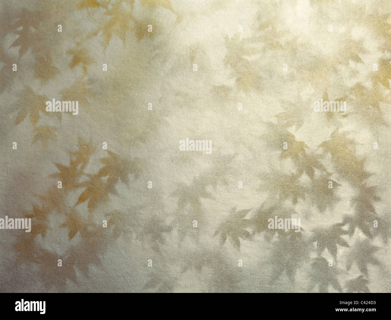 L oro e l Argento Acer foglie stampate su sfondo argento Foto Stock