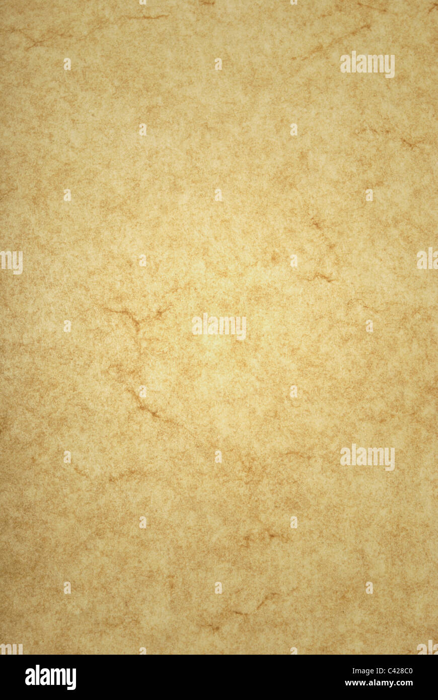 Fotografia di vera e propria vecchia pergamena con motivo distintivo Foto Stock