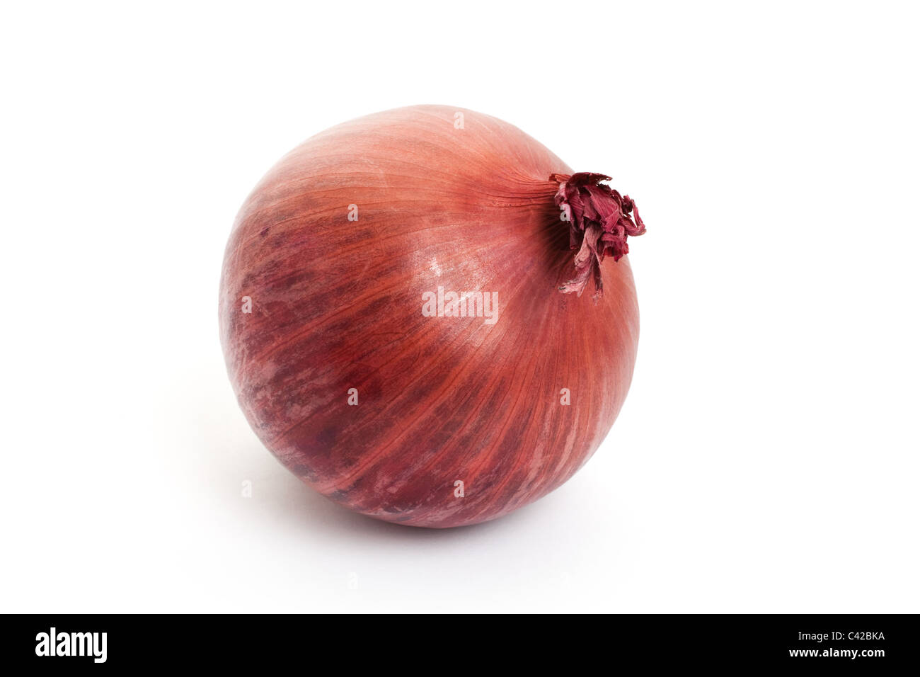 Le cipolle rosse con sfondo bianco Foto Stock