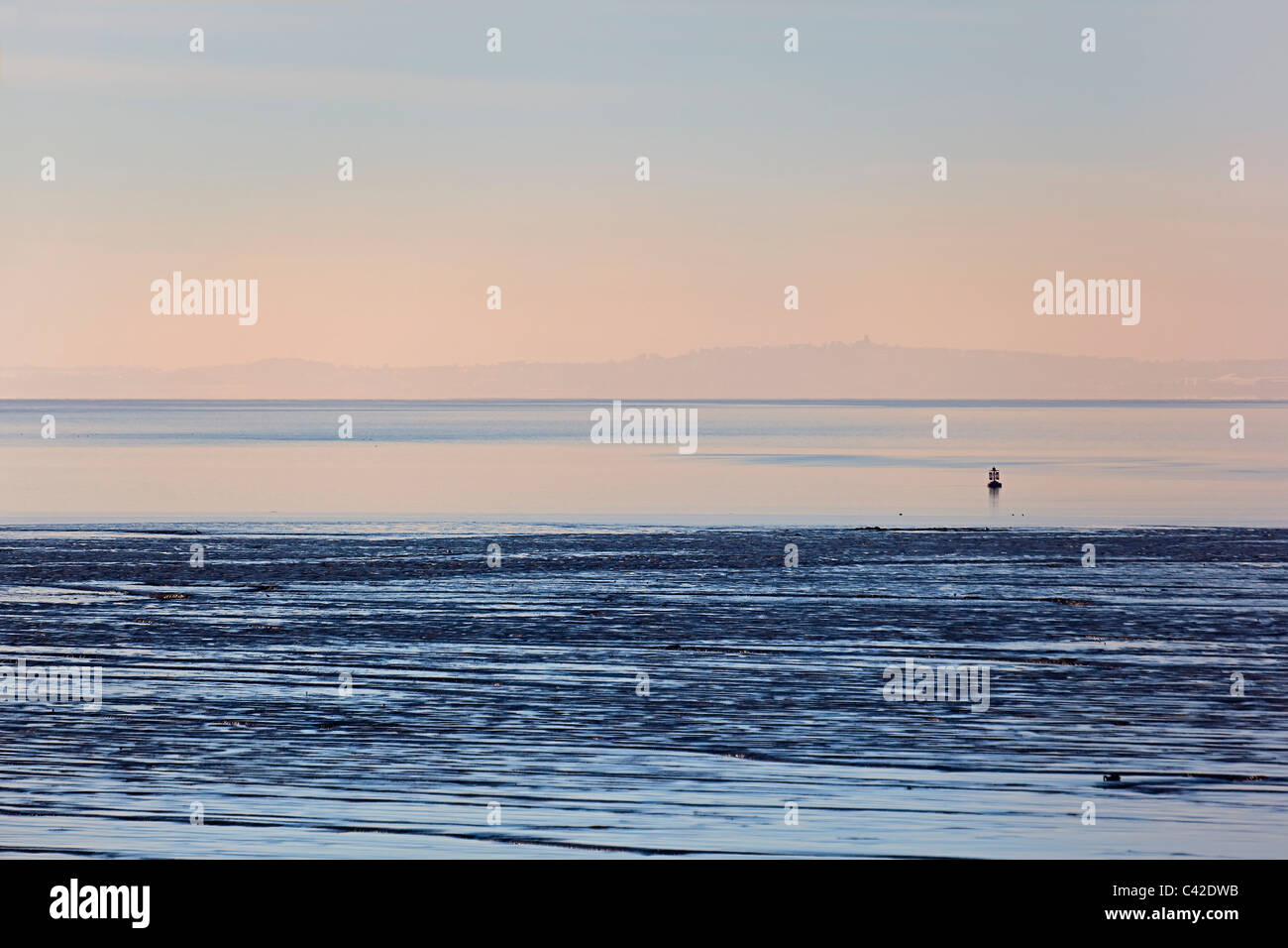 Costiera di massa di alimentazione per gli uccelli a Newport Zone Umide Wales UK Foto Stock