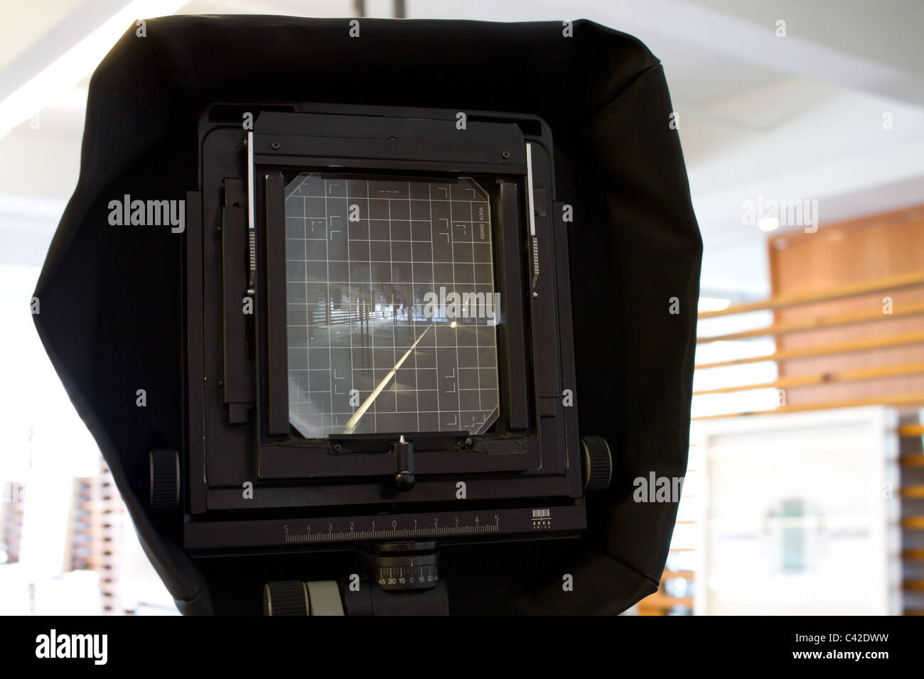 Medio formato pellicola sullo schermo della fotocamera Foto Stock