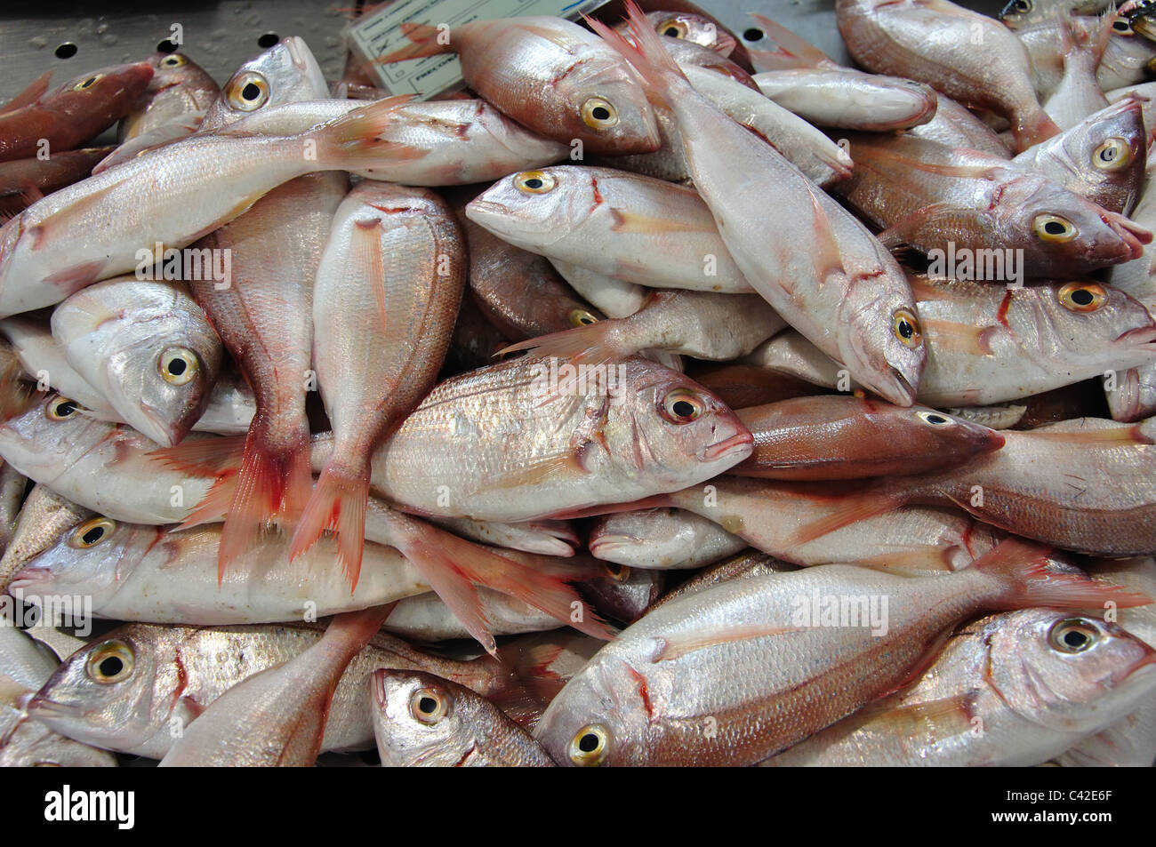 Pesce fresco nel mercato coperto del pesce, Loulé Mercato, Loulé, regione di Algarve, PORTOGALLO Foto Stock