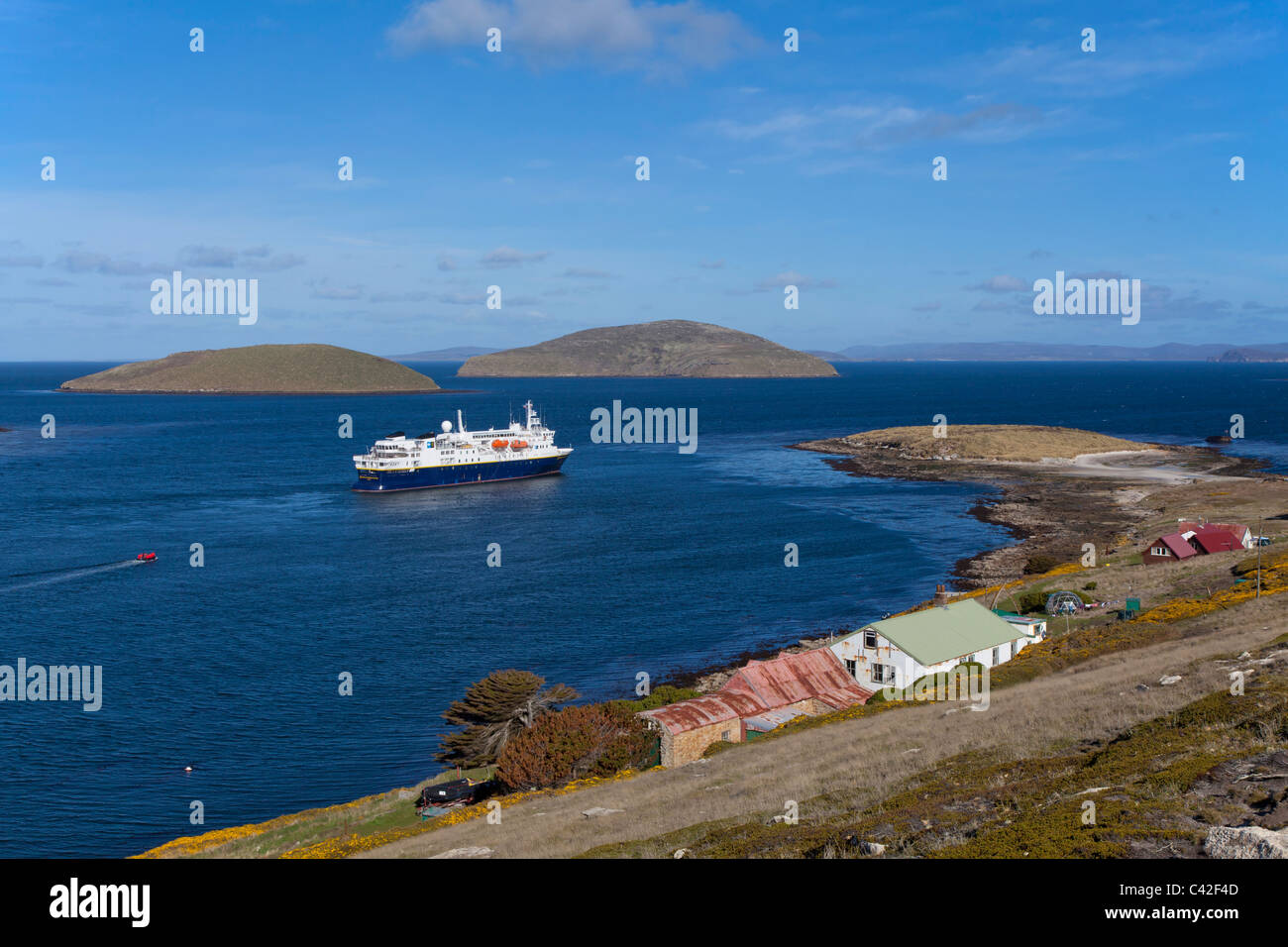Il regolamento alla nuova isola, West Falkland Foto Stock
