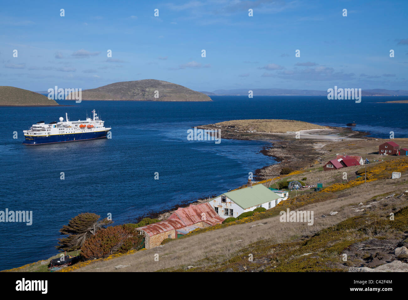 Il regolamento alla nuova isola, West Falkland Foto Stock