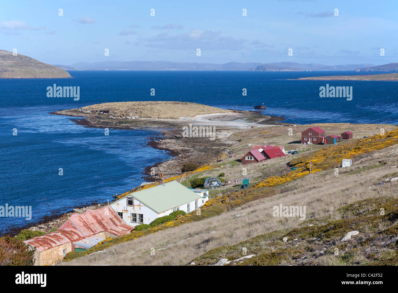 Il regolamento alla nuova isola, West Falkland Foto Stock