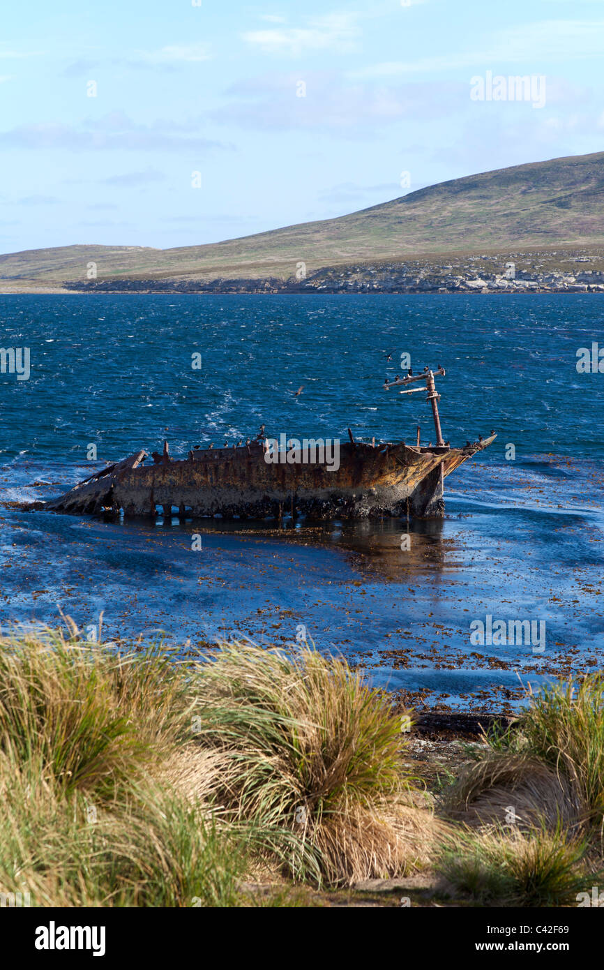 Parzialmente sommerso relitto della nave alla nuova isola, West Falkland Foto Stock