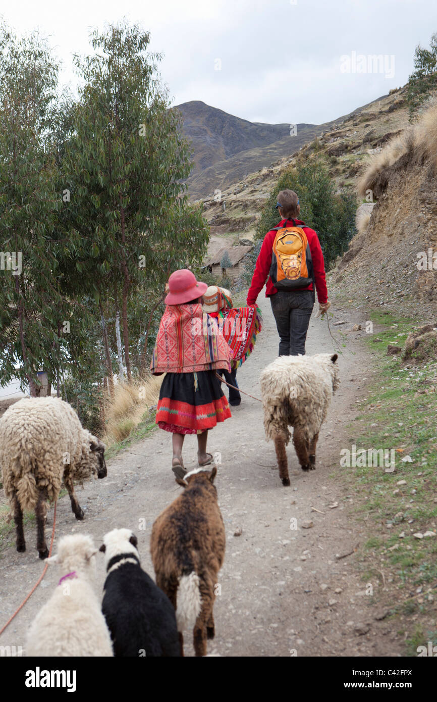 Villaggio nei pressi di Ollantaytambo. Indian ragazzo e una ragazza in abito tradizionale insieme con la donna, turistiche, radunare le pecore. Foto Stock