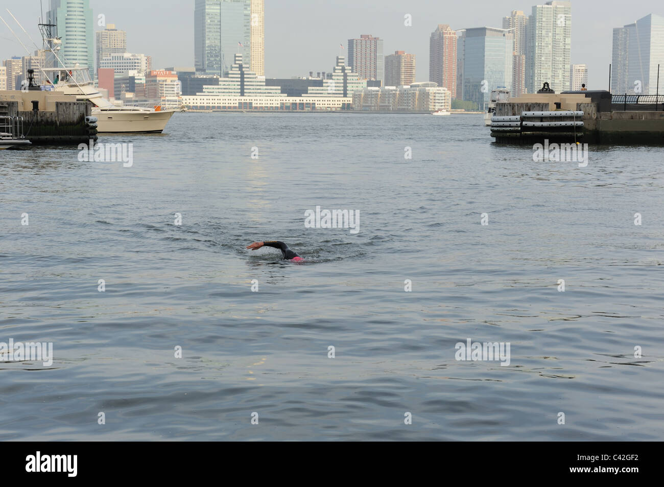 Un nuotatore in Manhattan North Cove Marina, avvicinando al traguardo dell'annuale 1.6 miglio Grande Fiume Hudson nuotare. Foto Stock