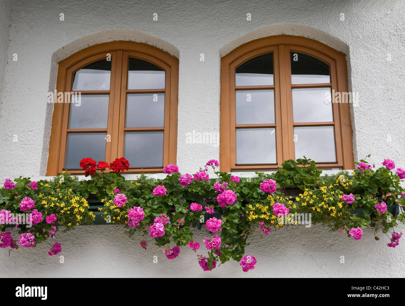 Windows e fioriera di Hallstatt Austria Foto Stock