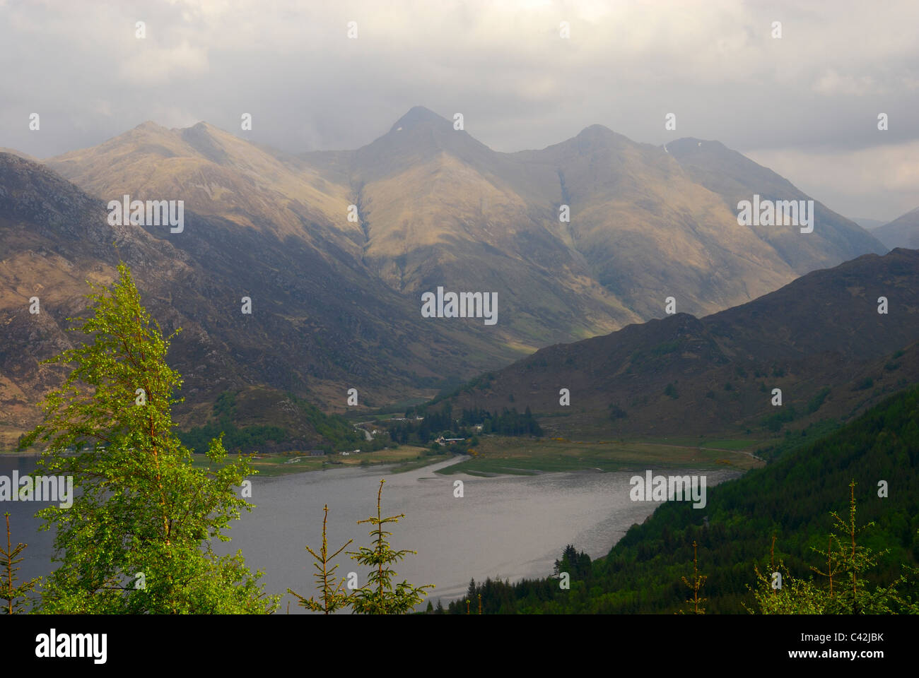 Guardando sopra Loch Duich da Ratagan, Highlands Occidentali, Scozia Foto Stock