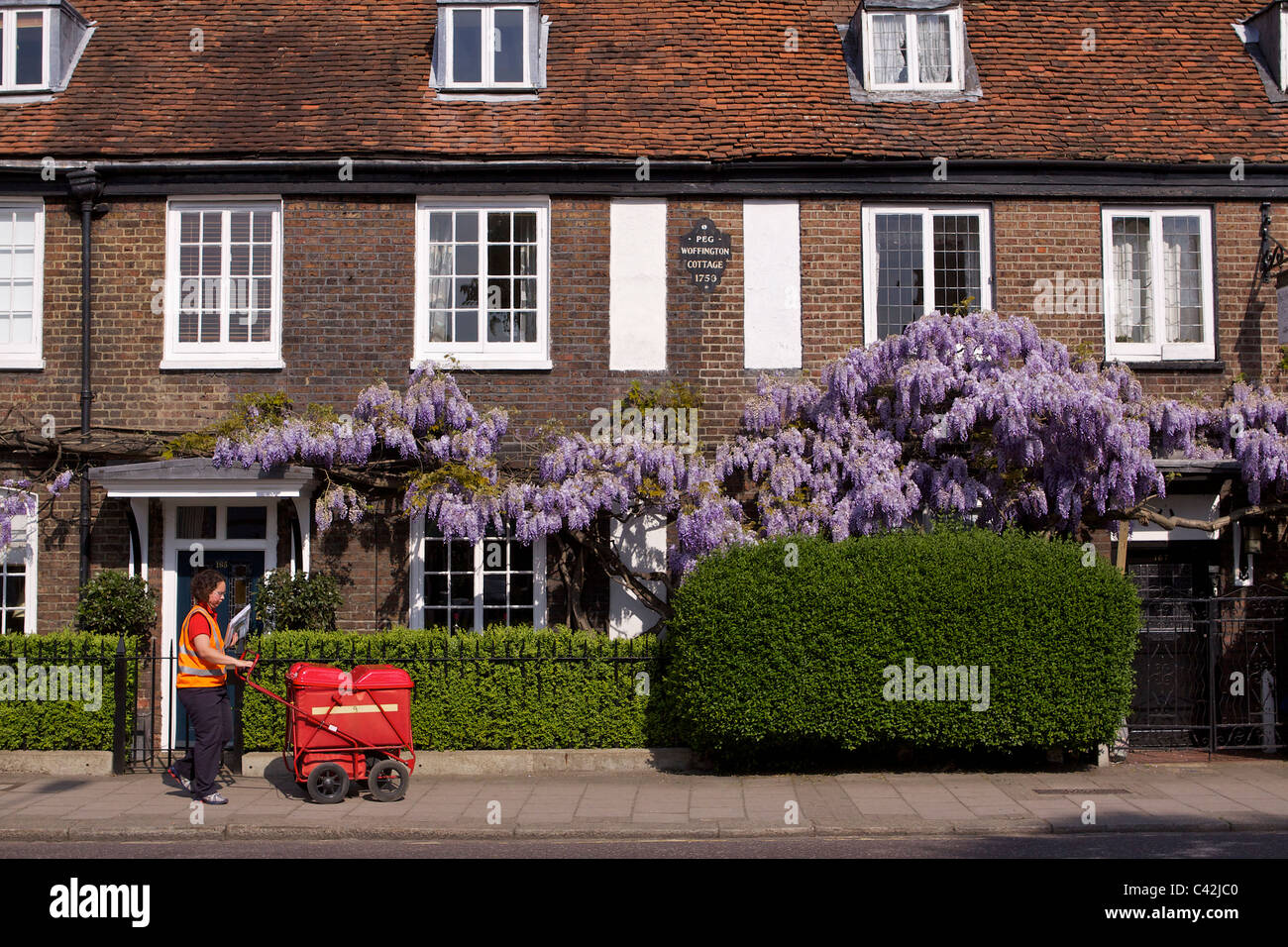 Una donna post con un carrello di consegna Consegna post a Peg Woffington in casa Teddington High Street sulla soleggiata mattina di primavera Foto Stock