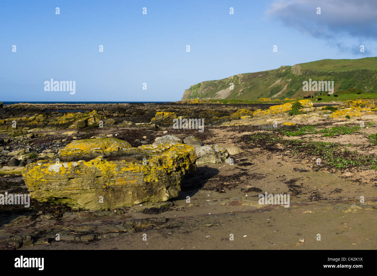 Kildonan litorale Foto Stock