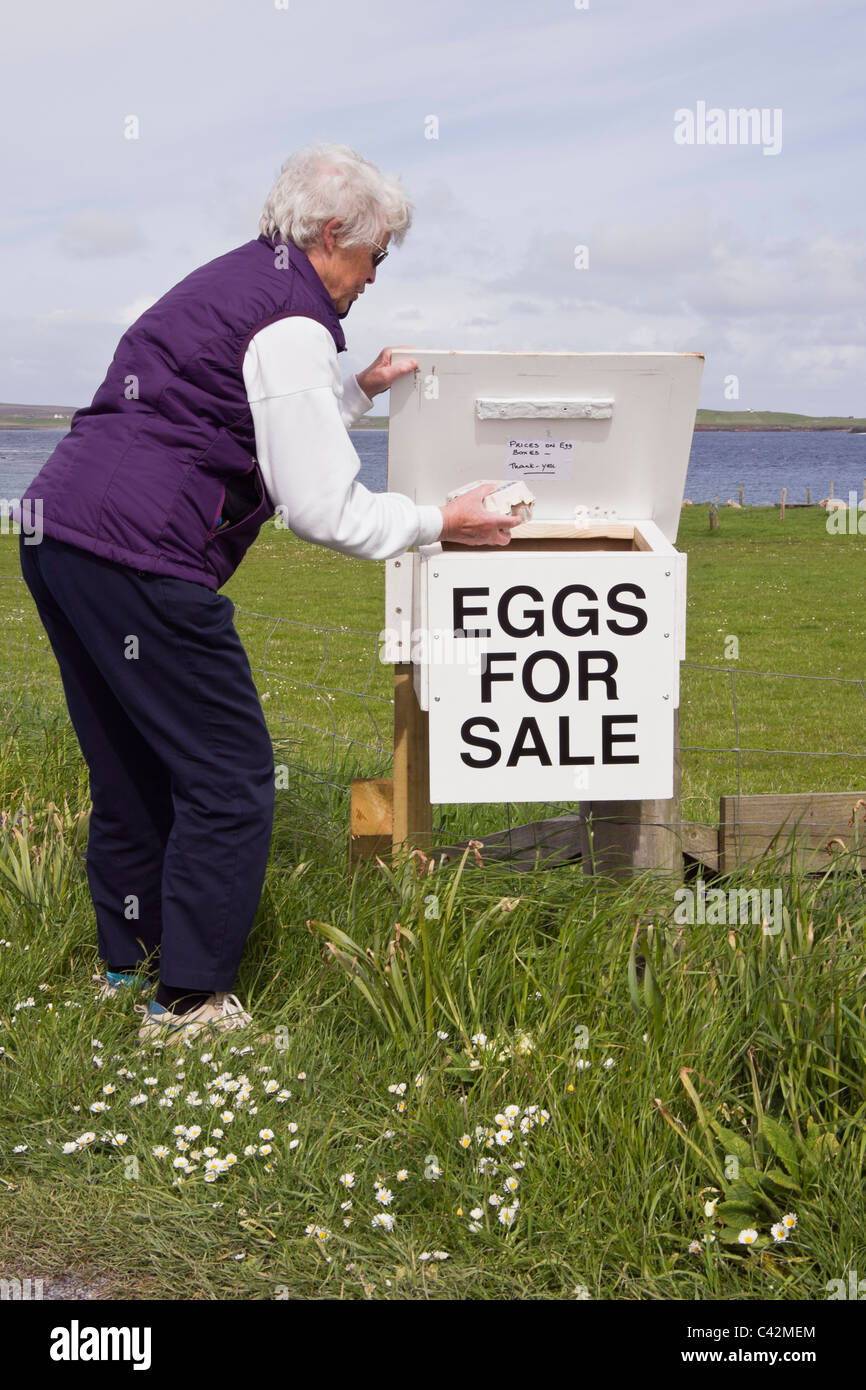 Senior donna acquisto delle uova in vendita da un casella di onestà al di fuori di una fattoria croft. Le isole Shetland, Scotland, Regno Unito. Foto Stock