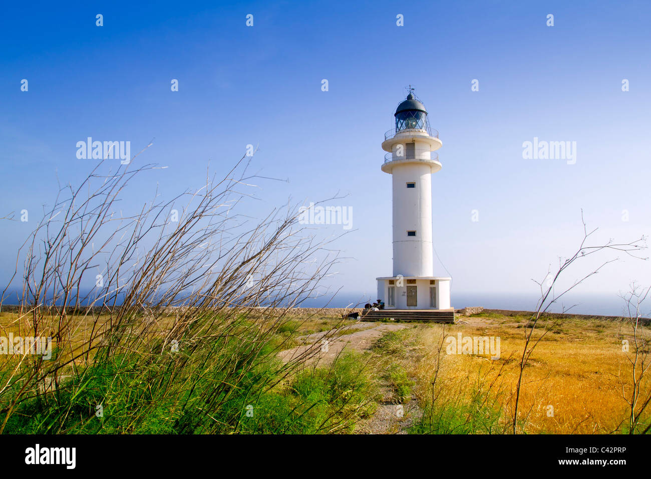 Barbaria berberia cape Formentera lighthouse golden meadow cielo blu Foto Stock
