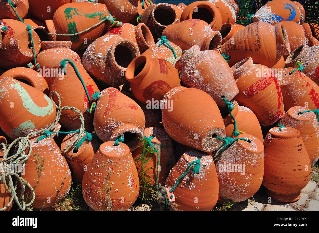 Vasi di granchio di argilla, Porto de Baleeira, Sagres, Algarve Regione, Portogallo Foto Stock