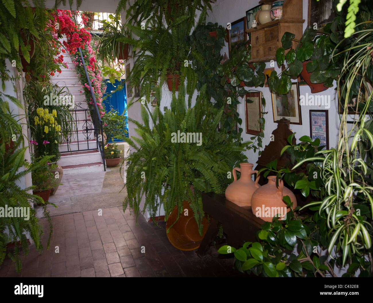 Un patio è entrato nel patio FESTIVAL A CORDOBA Andalusia Spagna Foto Stock