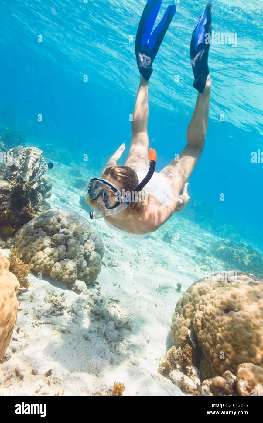 Bella donna di nuoto subacqueo tra la scogliera di corallo Foto Stock
