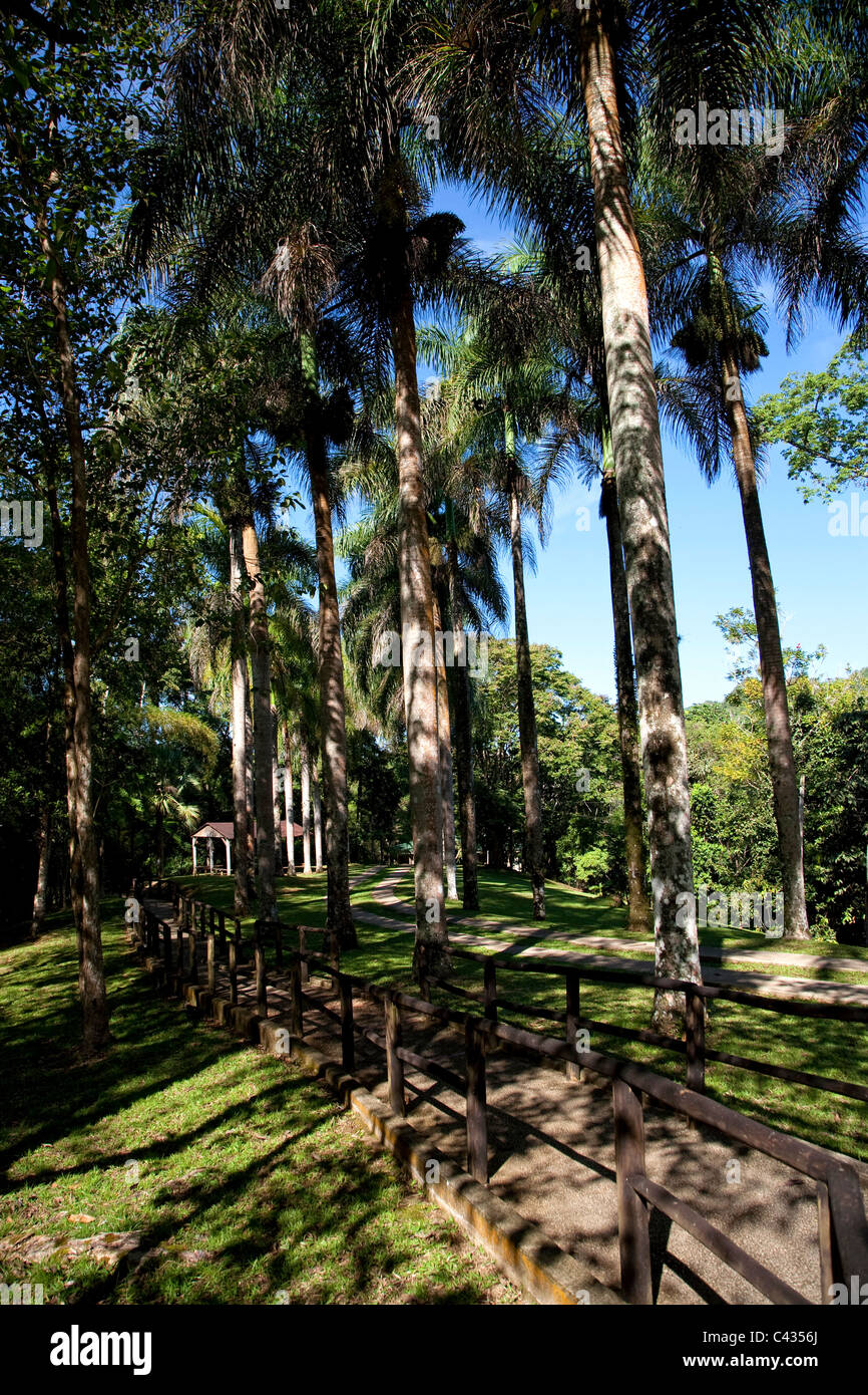 Stati Uniti d'America, Caraibi, Puerto Rico, centrale Monti, Parque cerimoniale Caguana Indigena (Taino sito cerimoniale) Foto Stock