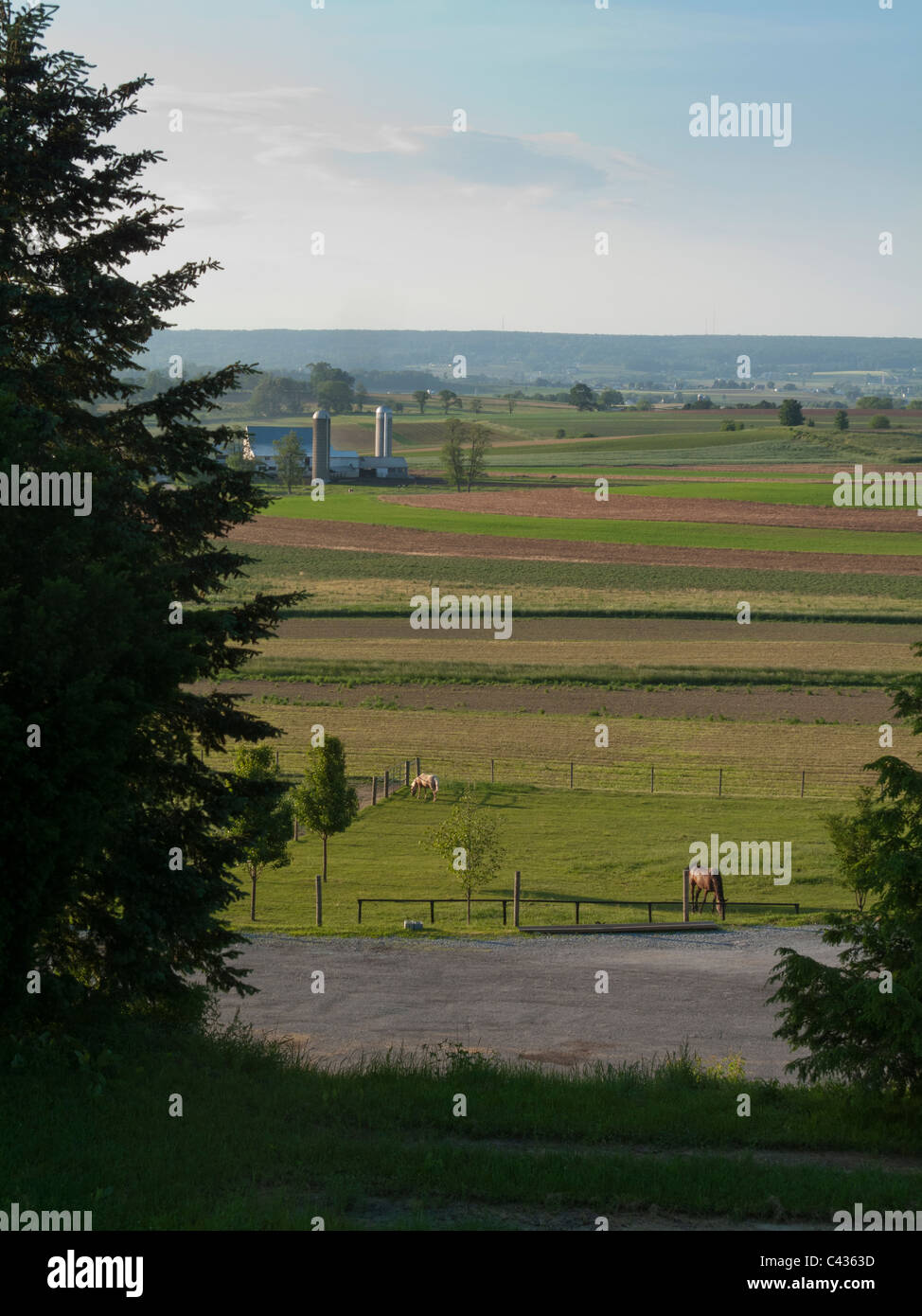 Vista delle aziende agricole, Pennsylvania Dutch Country, Lancaster County, PA, Stati Uniti d'America Foto Stock