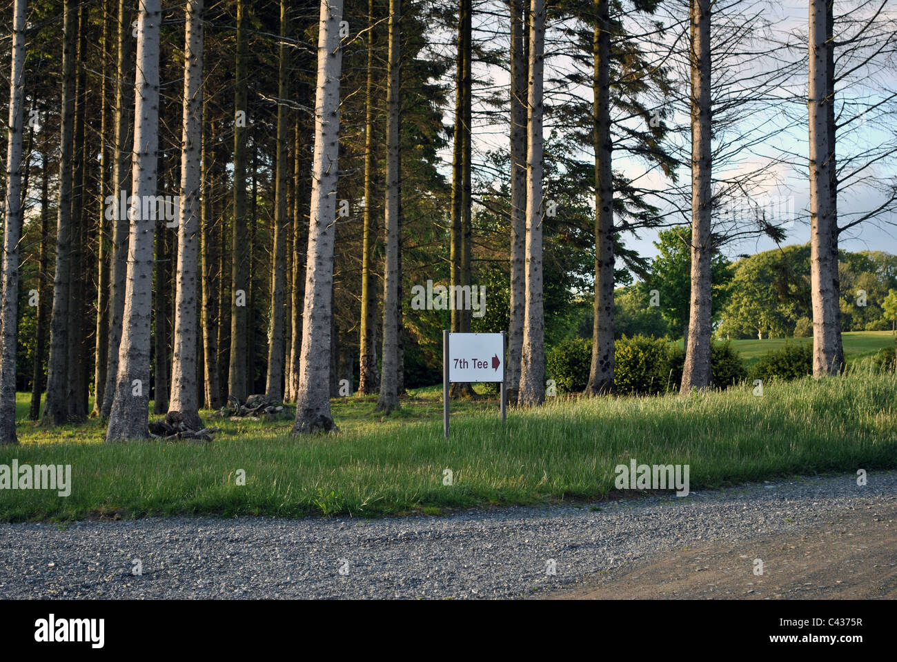 Segno per la settima buca su un campo da golf in Wicklow Irlanda Foto Stock