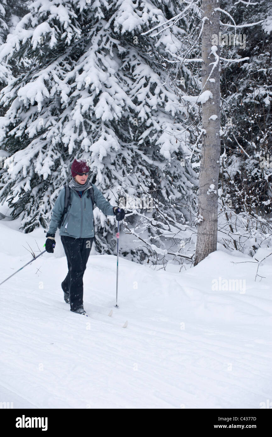 Cross Country sciatore sui sentieri a Essex, Montana. Foto Stock