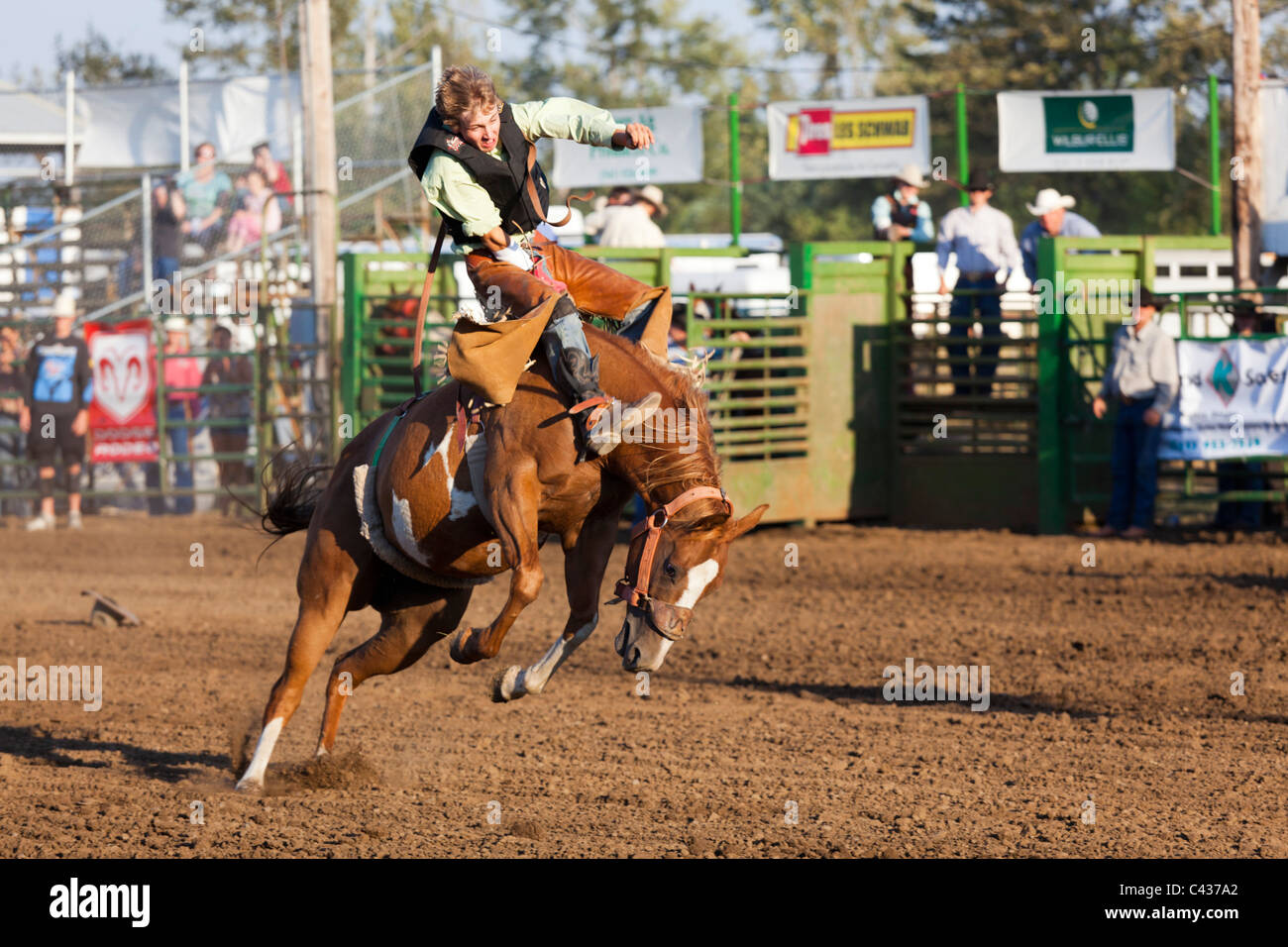 Rodeo a Benton County Fair, Corvallis, Oregon, Stati Uniti d'America 2009 Foto Stock