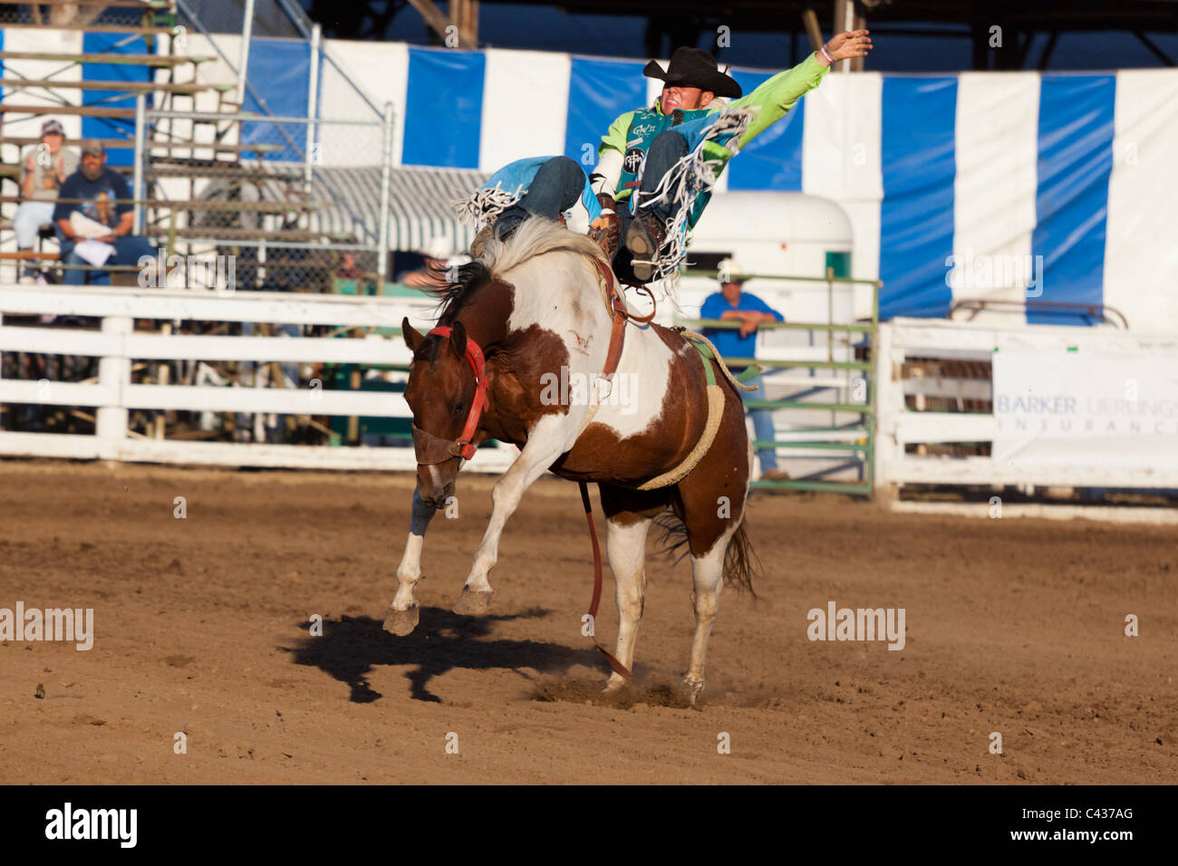 Rodeo a Benton County Fair, Corvallis, Oregon, Stati Uniti d'America 2009 Foto Stock