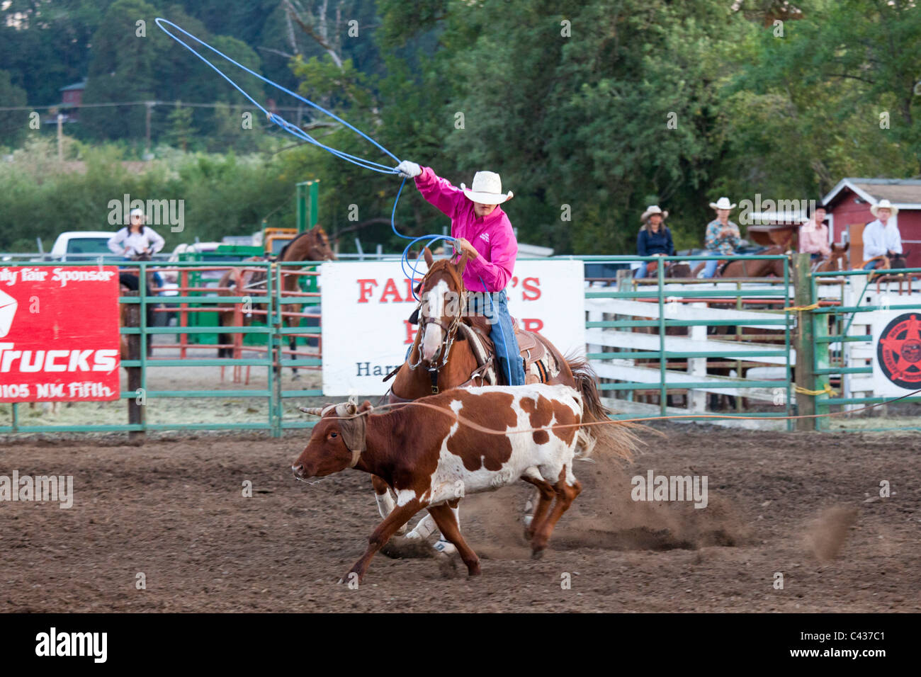 Rodeo a Benton County Fair, Corvallis, Oregon, Stati Uniti d'America 2009 Foto Stock