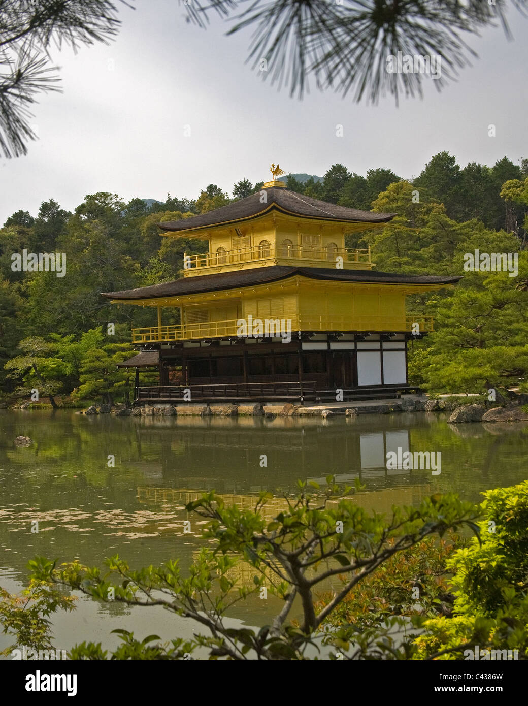 Kinkakuji ("Tempio d'oro Padiglione") è il soprannome di Comune di Rokuonji ('Deer giardino tempio'), un bellissimo tempio Zen a Kyoto. Foto Stock