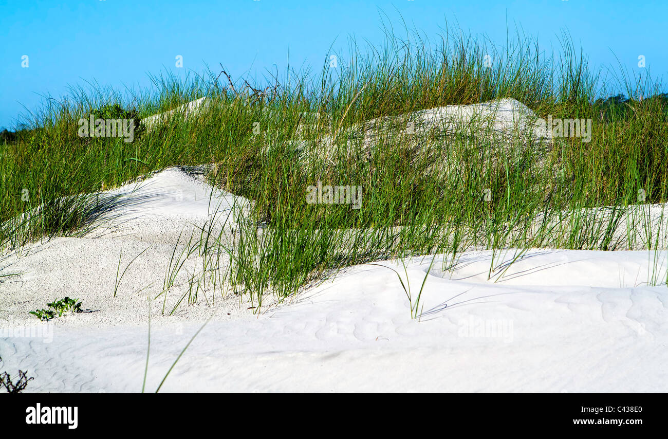 Spiaggia naturale di Dune con vegetazione autoctona. chriskirkphotography.net Foto Stock