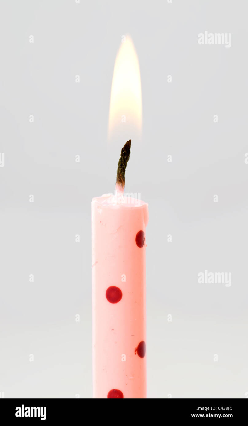 Una sola rosa e maculato candela di compleanno Foto stock - Alamy