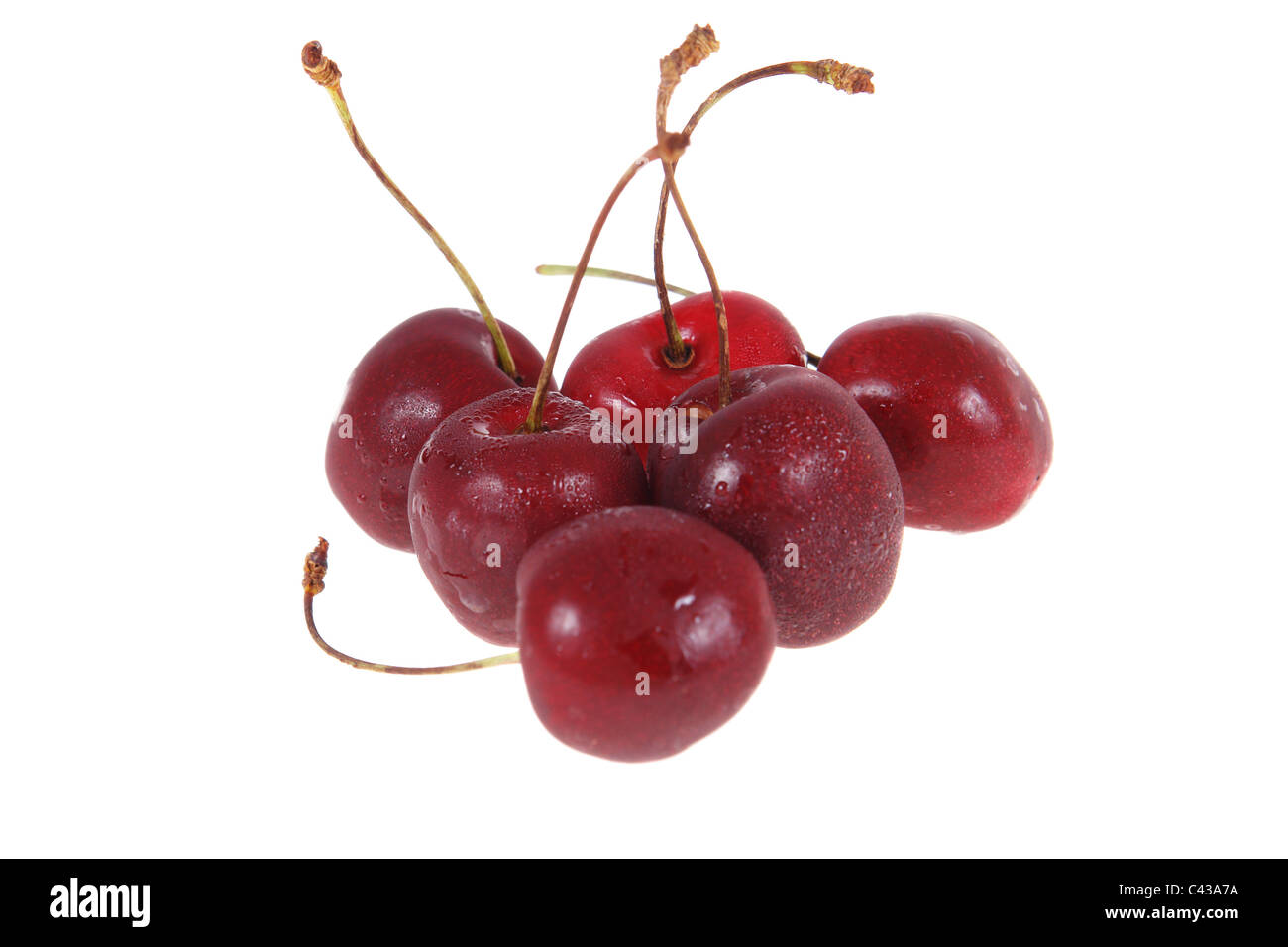 Un maturo di ciliege dolci isolati su sfondo bianco Foto Stock