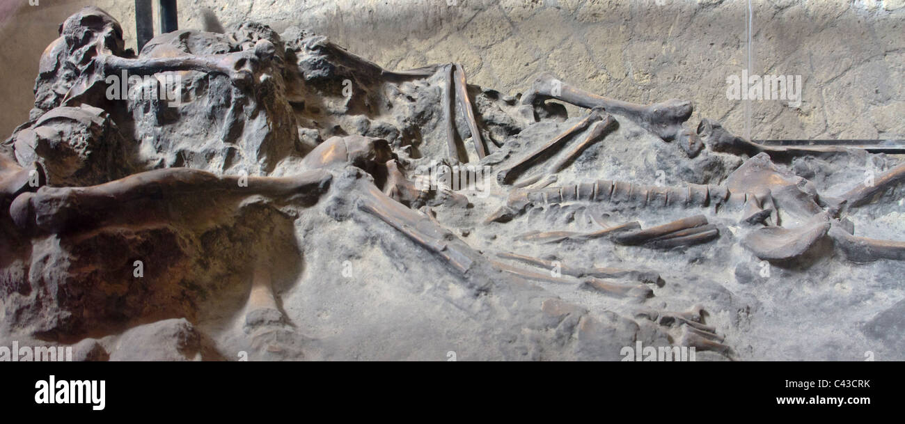 Scheletri umani a metà sepolto nel fango vulcanico, vittime che fuggono dalla eruzione del Vesuvio di Ercolano Foto Stock