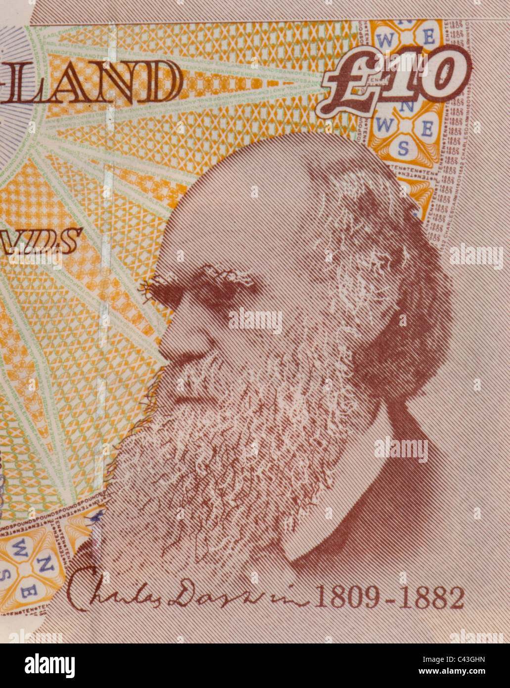 Regno Unito 10 pound che mostra la testa di Charles Darwin Foto Stock