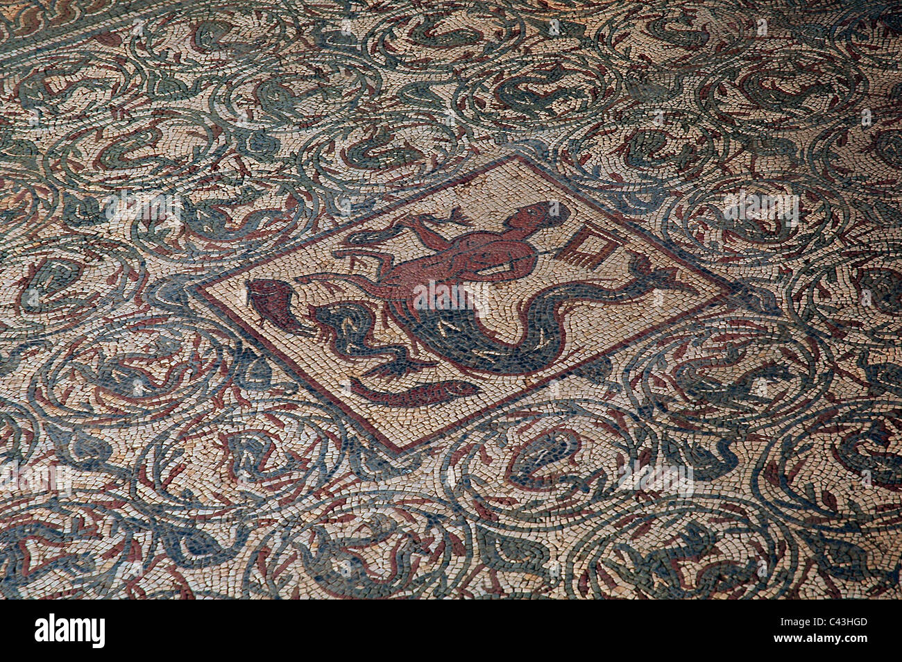 Antico mosaico a pavimento raffigurante poseidon nelle rovine dell'insediamento romano di Conimbriga situato a Condeixa-a-Nova anche noto come Condeixa, una città e un comune nel distretto di Coimbra, Portogallo Foto Stock
