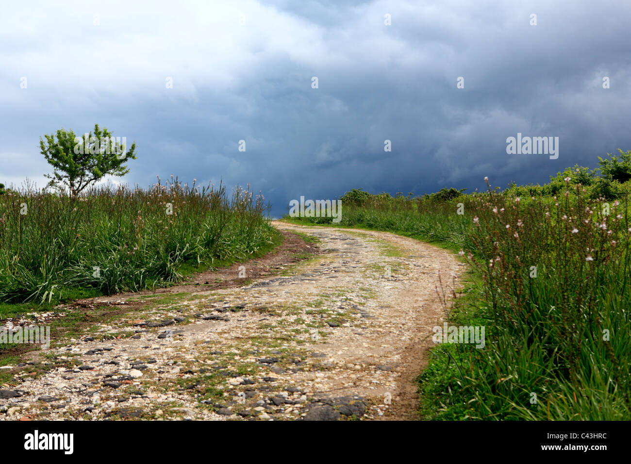 L'Albania, Balcani, Europa Centrale, Europa Orientale, Europea, Europa meridionale, le destinazioni di viaggio, Paesaggio, natura, Apollonia, Foto Stock