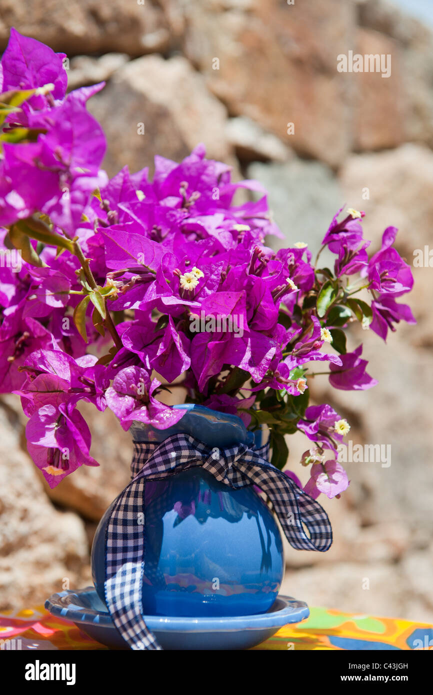 Mazzo di fiori di bouganville in vaso blu all'aperto nella parte anteriore del muro di pietra naturale Foto Stock