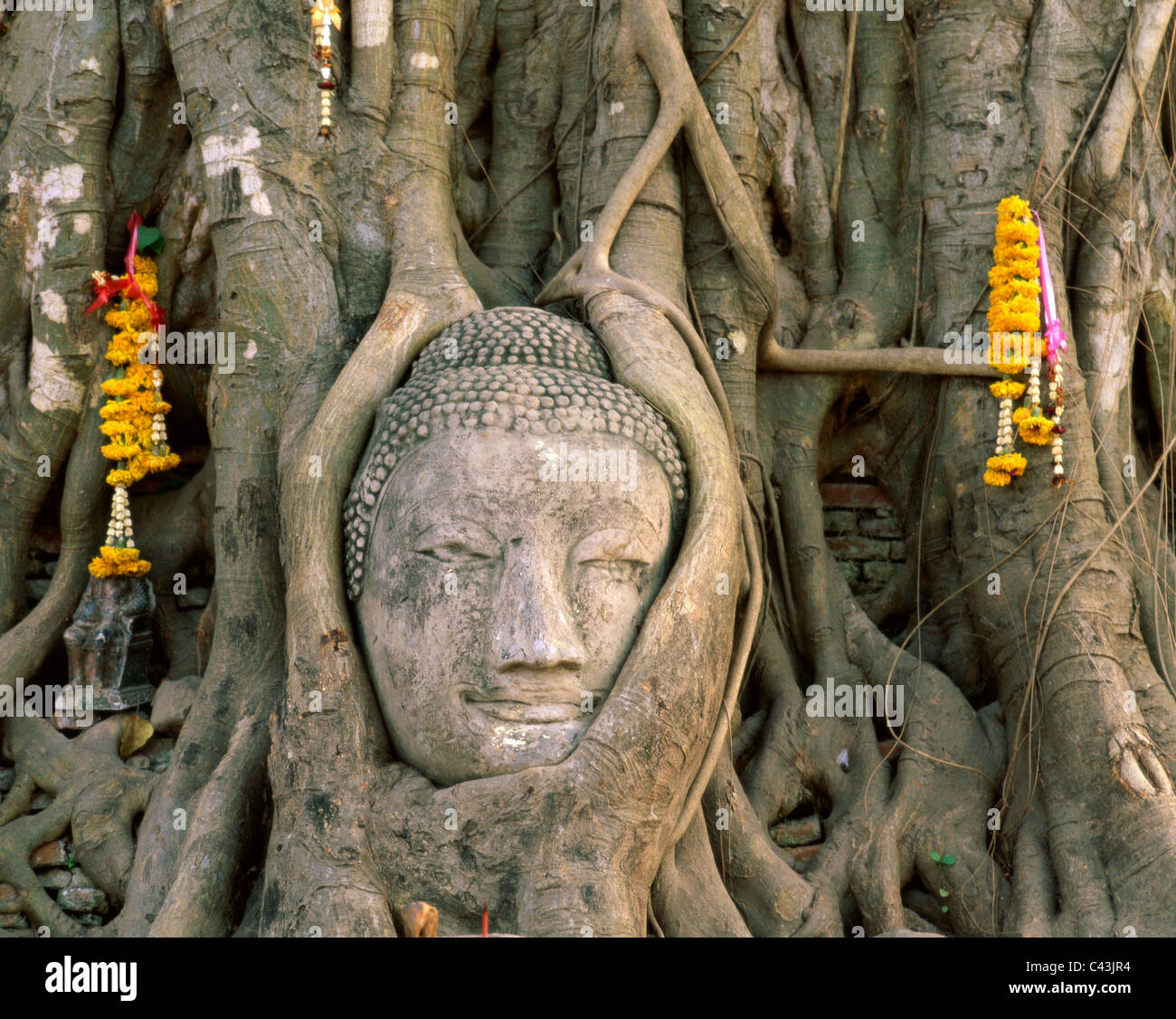 Asia, Ayutthaya, Buddha, testa, patrimonio, vacanza, Landmark, Thailandia, Turismo, Unesco, vacanza, Wat Mahathat, mondo, Foto Stock