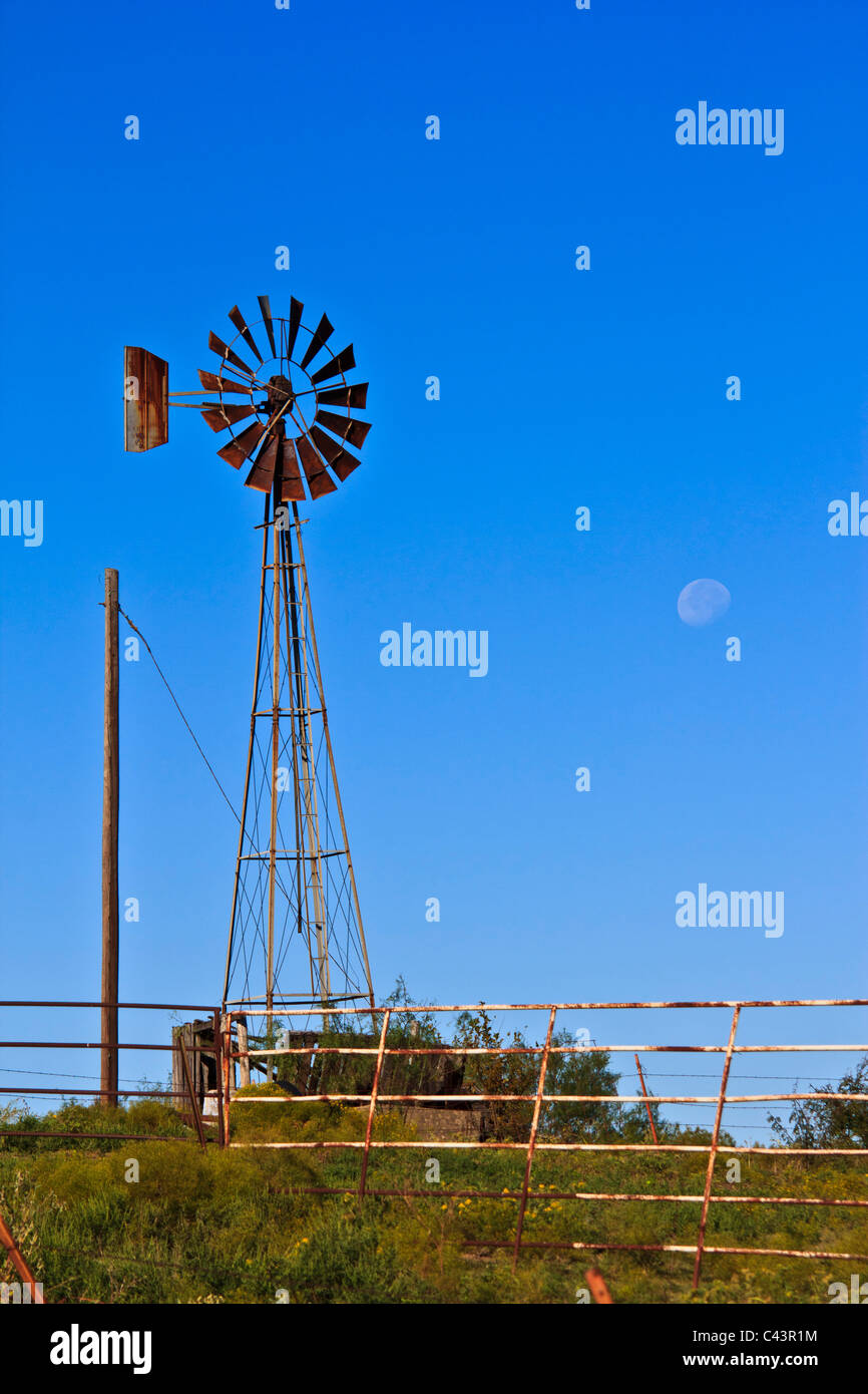 Grande, luna, giorno Lago Texoma, mattina, Texas, Stati Uniti d'America, cisterna di acqua, mulino a vento, mulino a vento Foto Stock