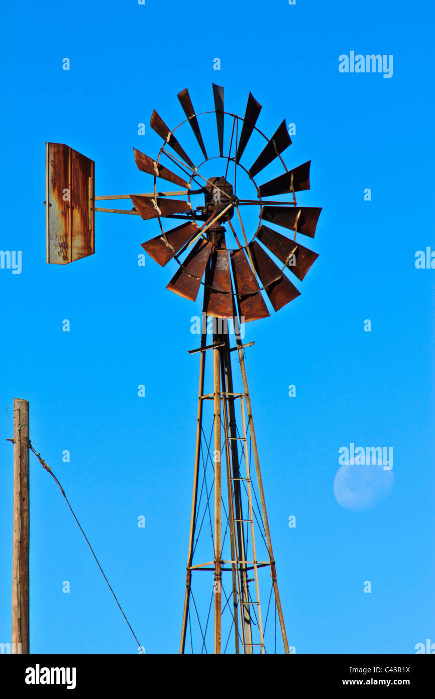 Grande, luna, giorno Lago Texoma, mattina, Texas, Stati Uniti d'America, cisterna di acqua, mulino a vento, mulino a vento Foto Stock