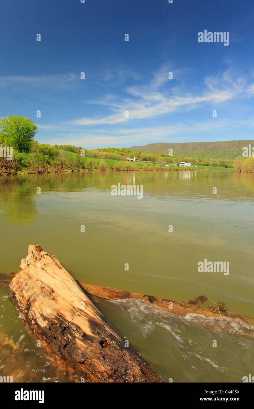Receeding acque alluvionali, Shenandoah River, Bentonville, Virginia, Stati Uniti d'America Foto Stock