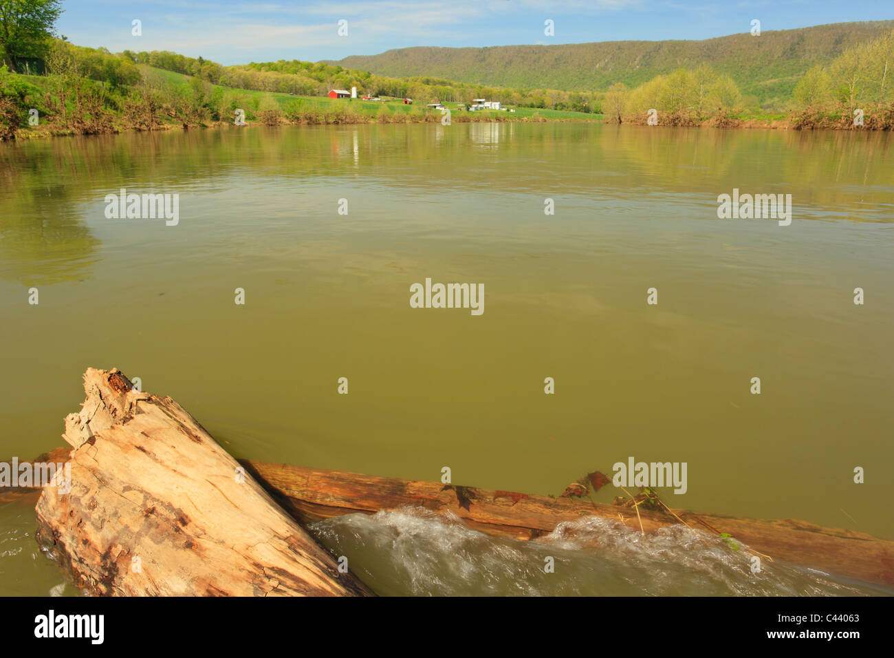 Receeding acque alluvionali, Shenandoah River, Bentonville, Virginia, Stati Uniti d'America Foto Stock