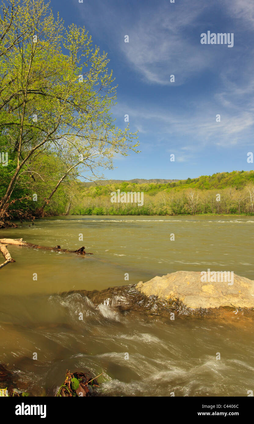 Receeding acque alluvionali, Shenandoah River, Shenandoah River State Park, anteriore Royal, Virginia, Stati Uniti d'America Foto Stock