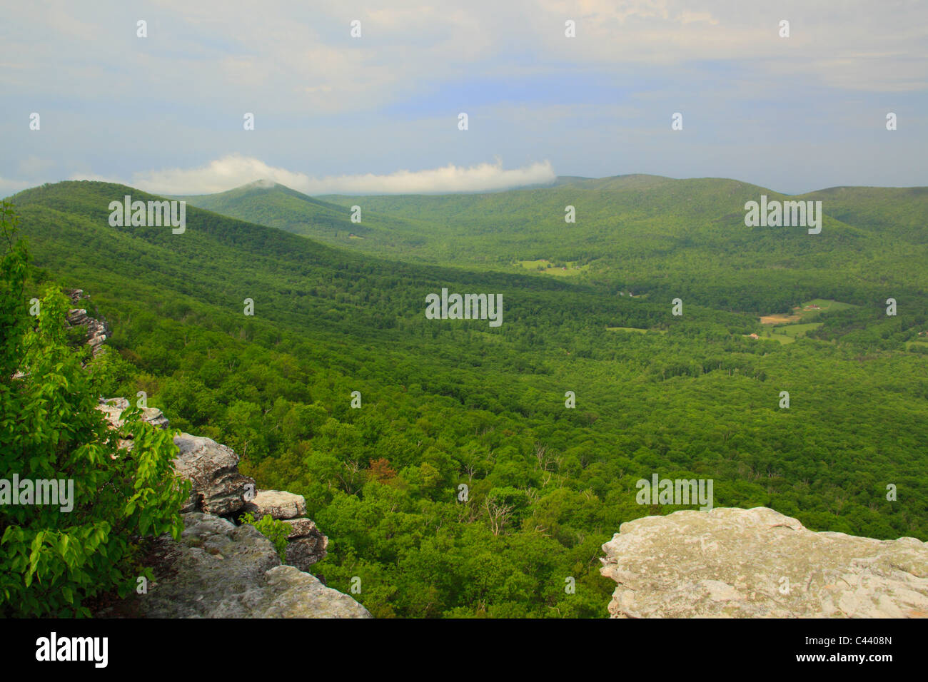 Mattinata nebbiosa, Big Schloss, George Washington National Forest, Virginia, Stati Uniti d'America Foto Stock