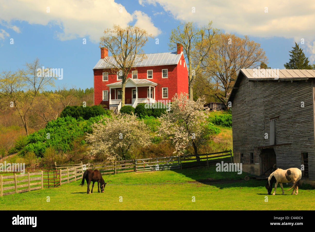 Agriturismo, Fort Valley, sette fontane, Shenandoah Valley, Virginia, Stati Uniti d'America Foto Stock